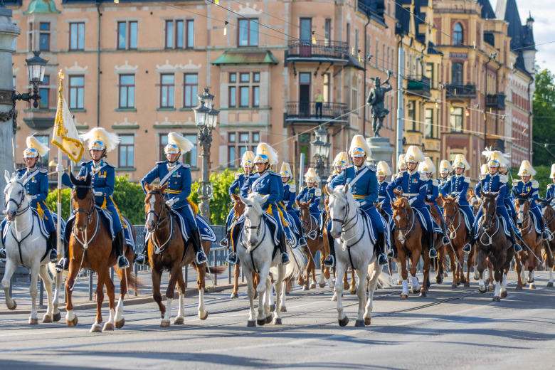 Ny satsning ska säkra framtidens högvaktshästar