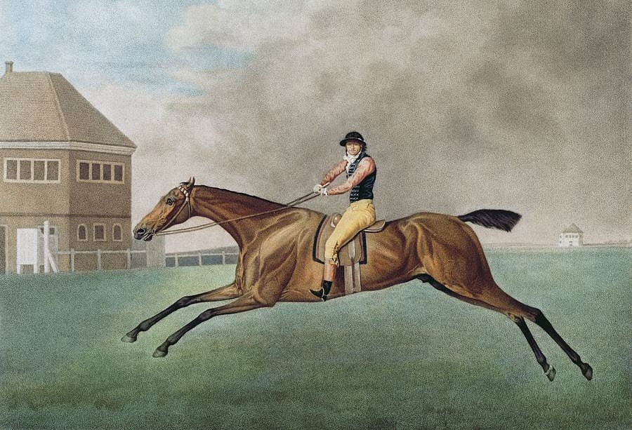 Baronet-george-stubbs