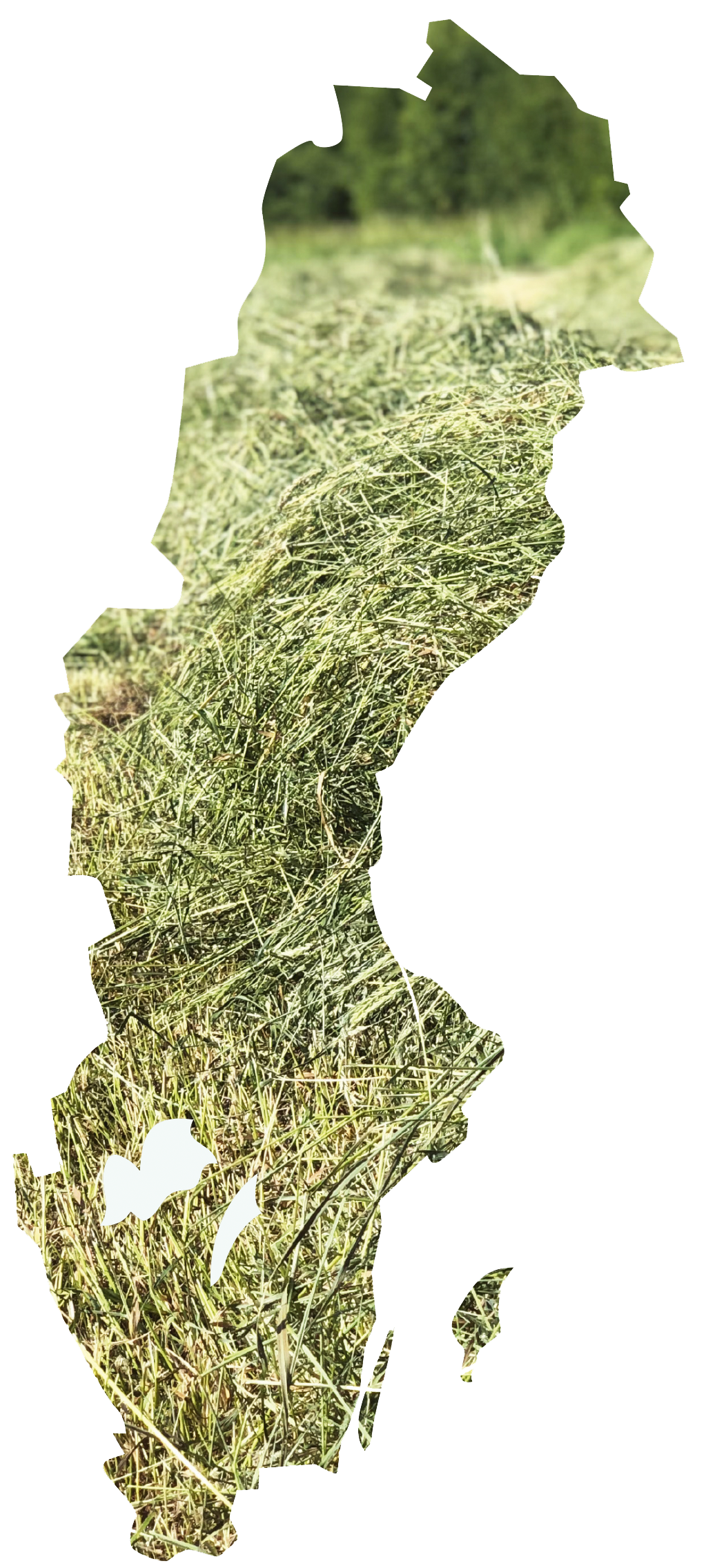 H&ouml;sverige