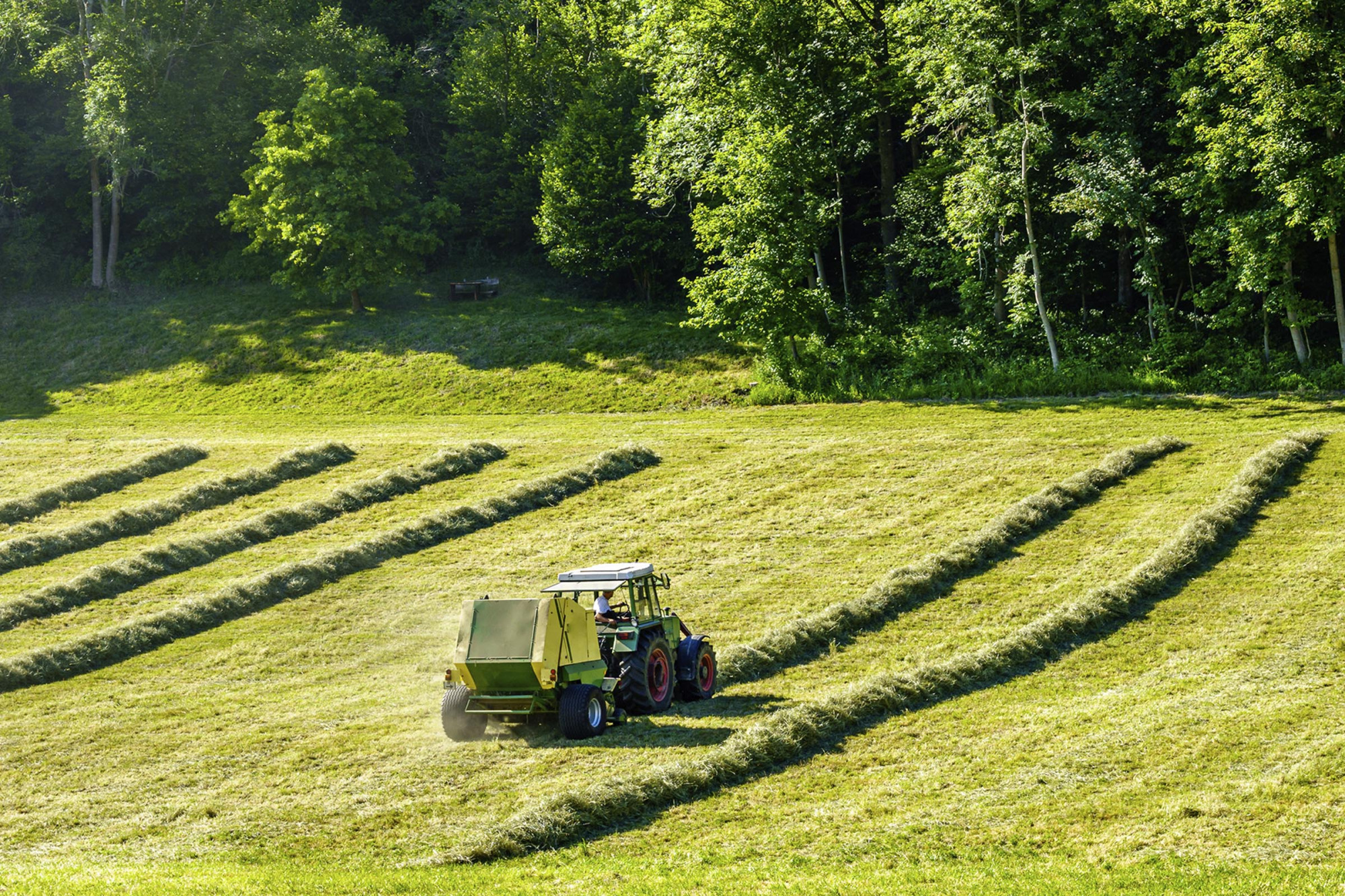 Tractor At A Farm