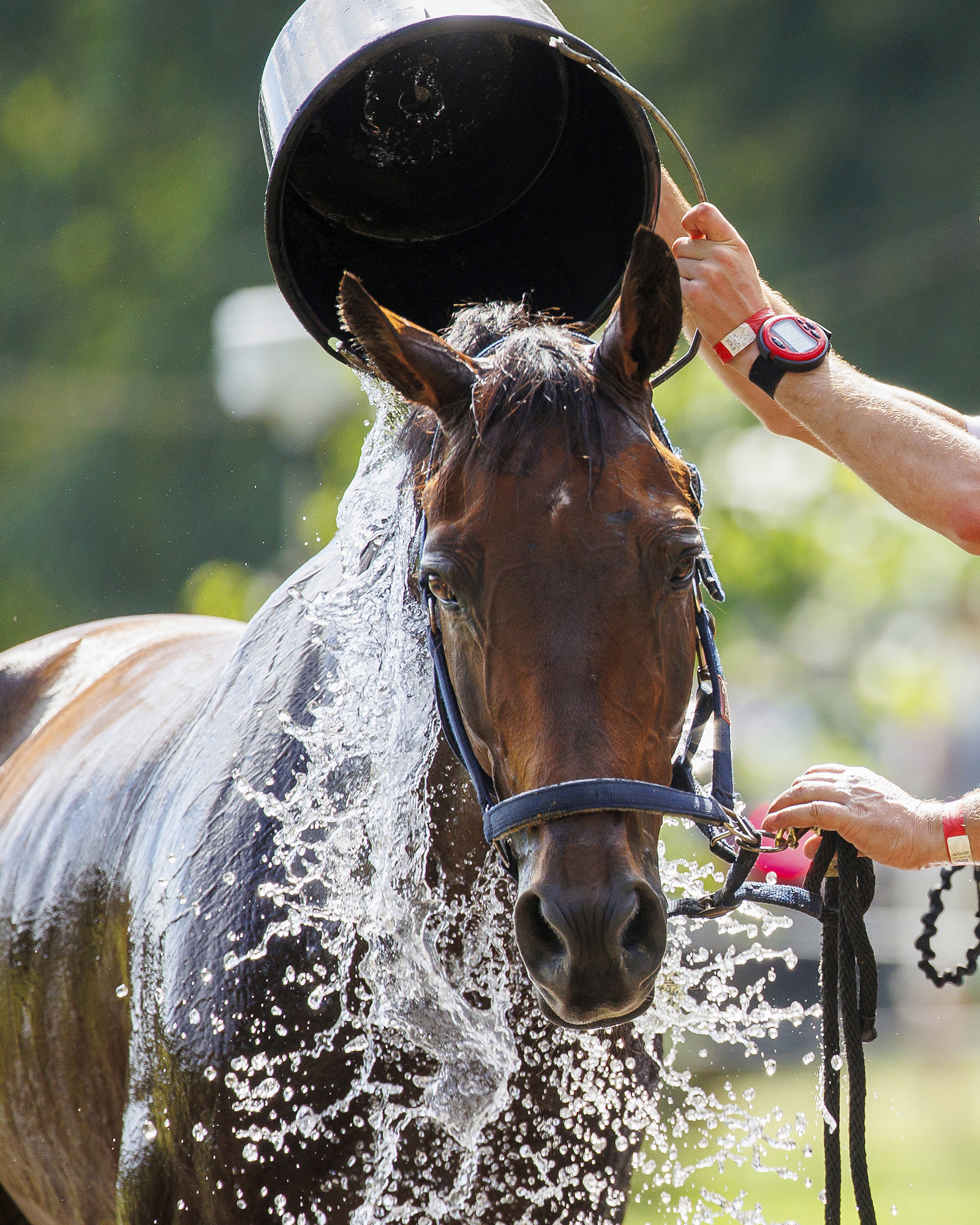 Cci4* - Cci Arville 2023