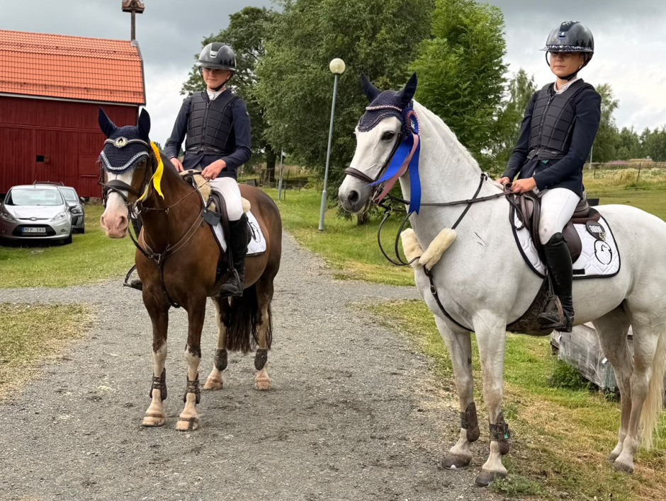 Ponnypappan: Både rutin och debut i Aneby