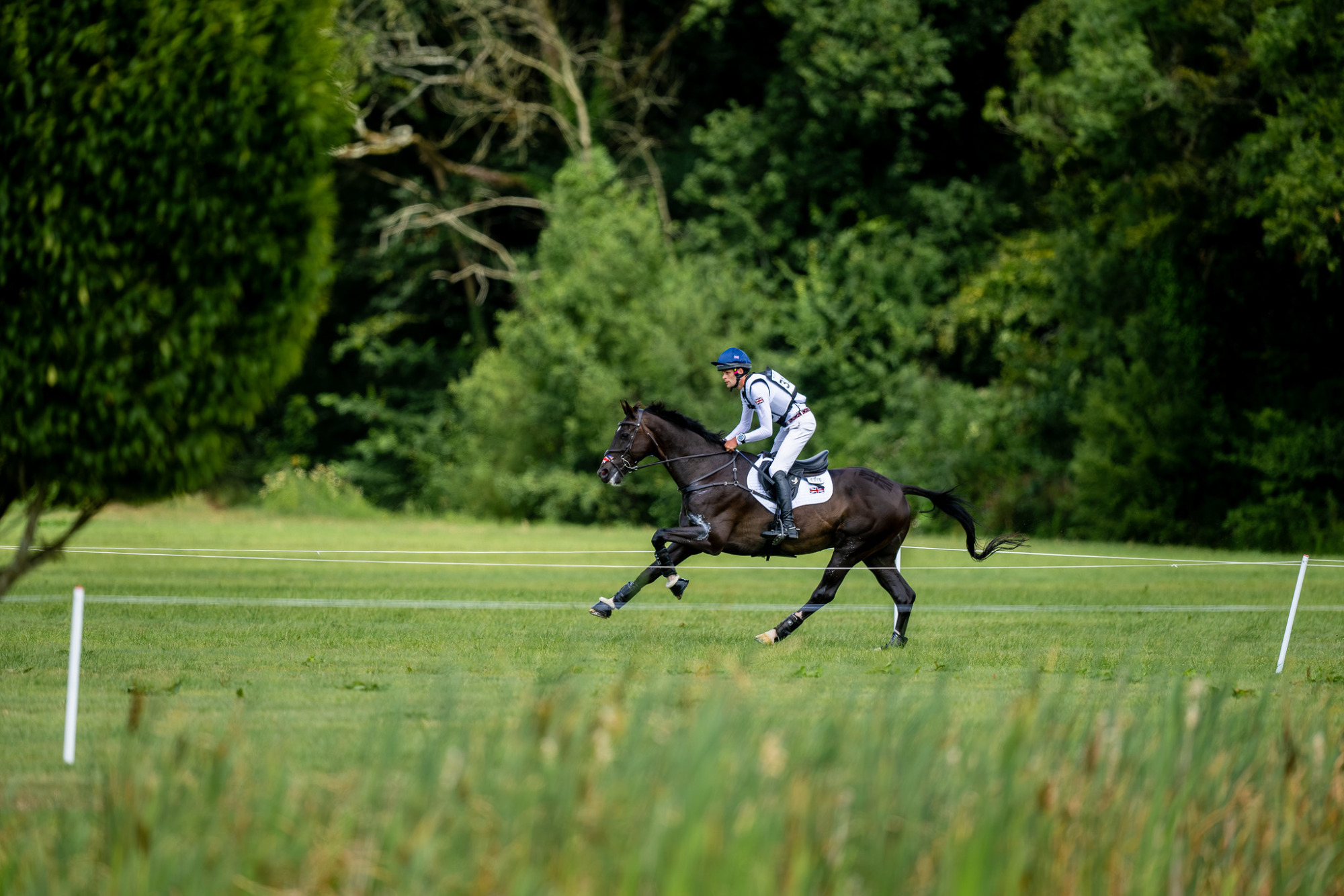 Barnie Brotherton och DHI King Nelson,