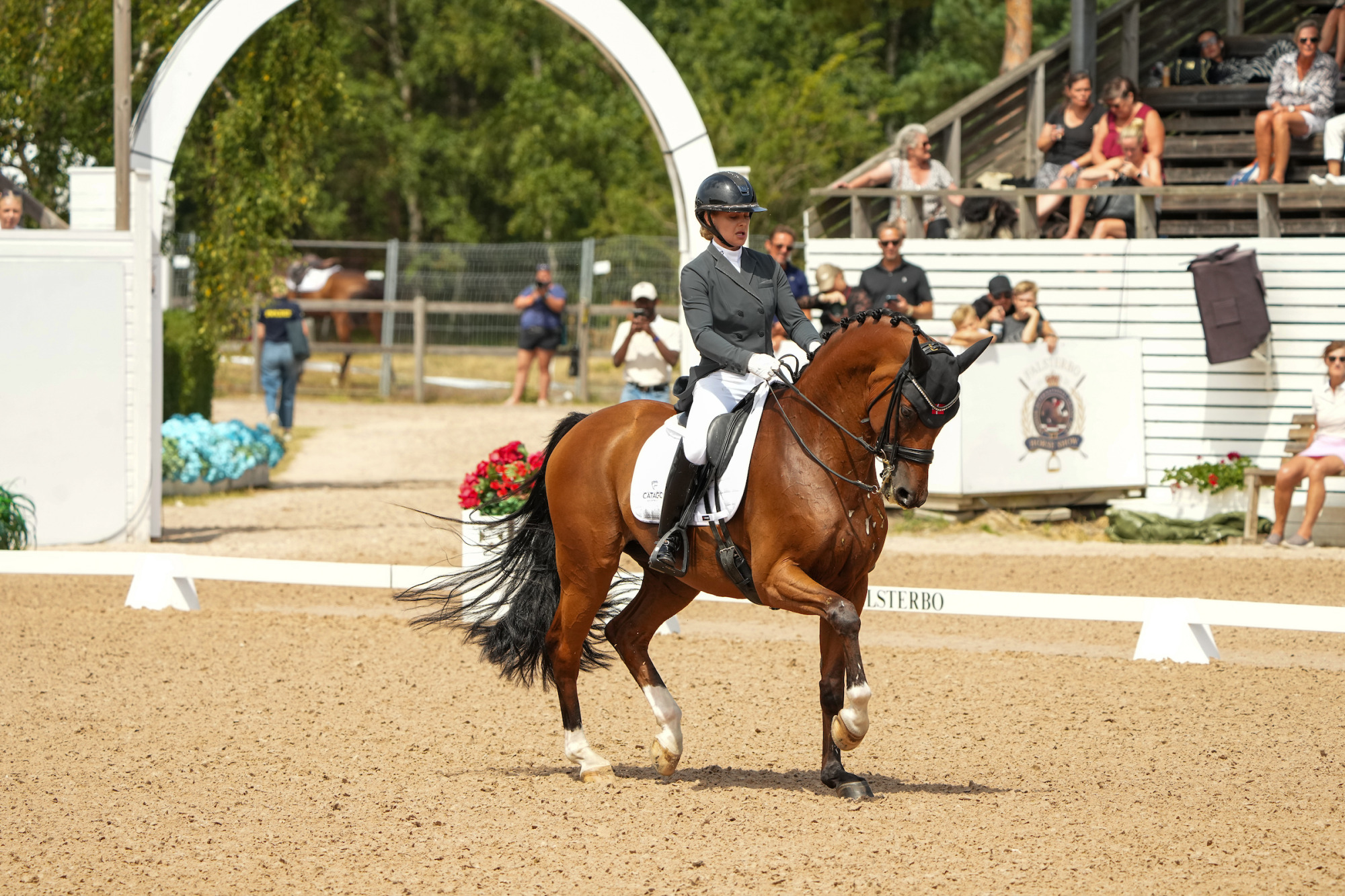 Anna Zibrandtsen Quel Filou
