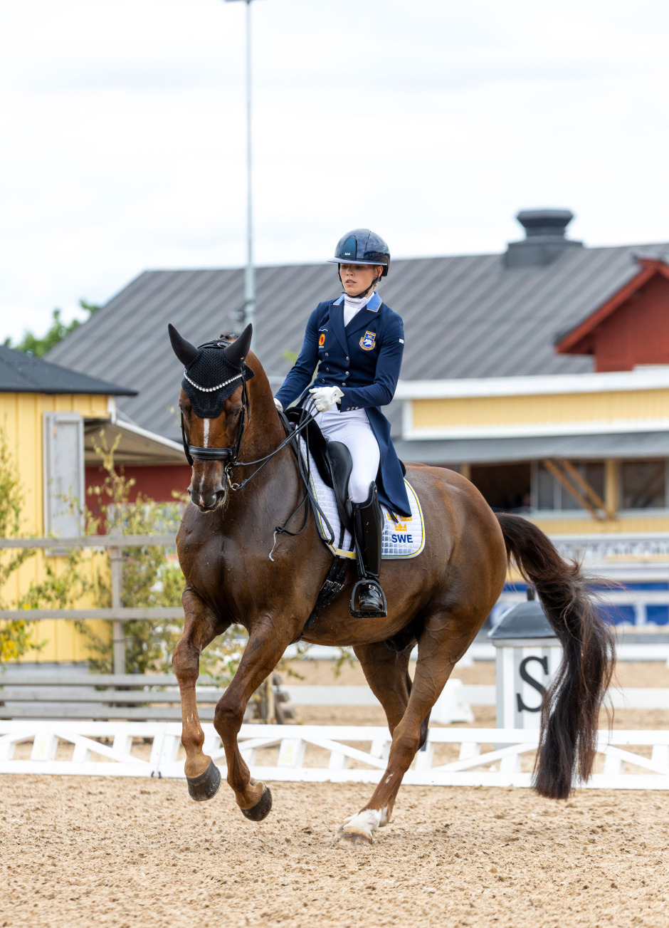 VM-domarna på plats – nu väntar sista Nations Cup före Aachen