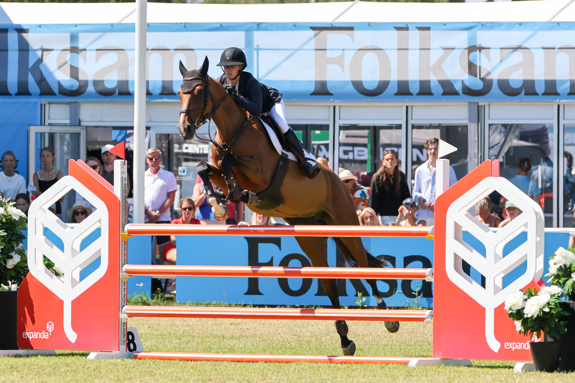 Falsterbo Horse Show 2026 Folksam Open 5-&aring;riga H&auml;star | Final
