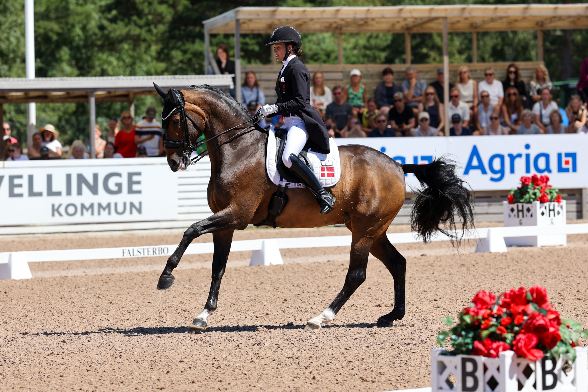 Cathrine Laudrup-dufour - Mount St John Freestyle Fj-1672