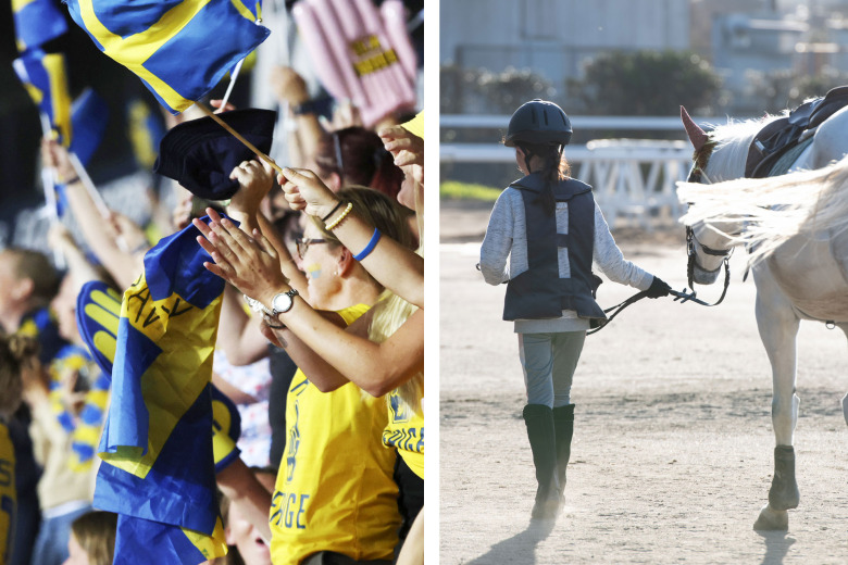 Svensk ridsport behöver styras närmare sporten