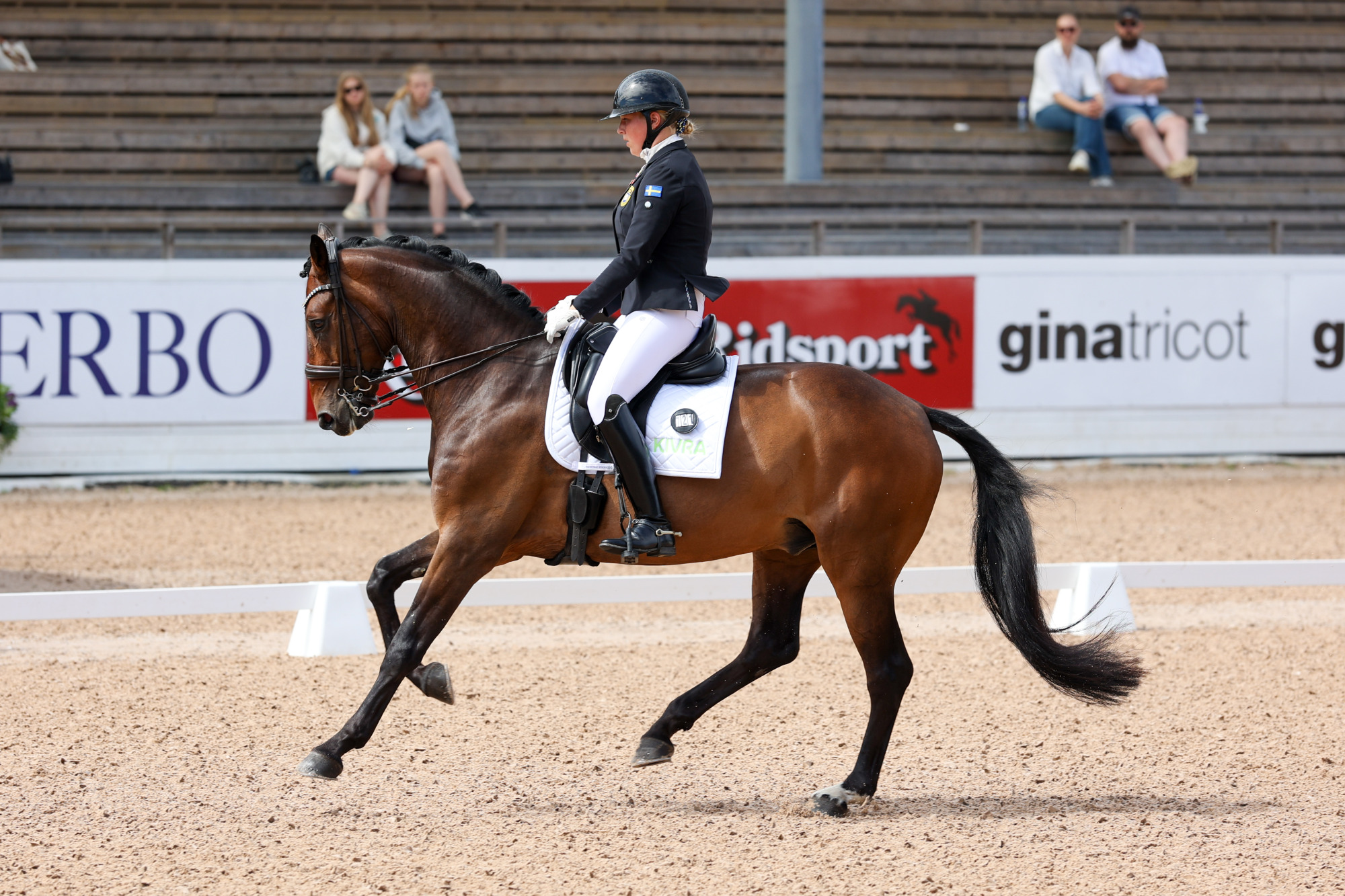 Ebba Wallin Ivarsson - Fascinate Kr (swb) Fj-3958