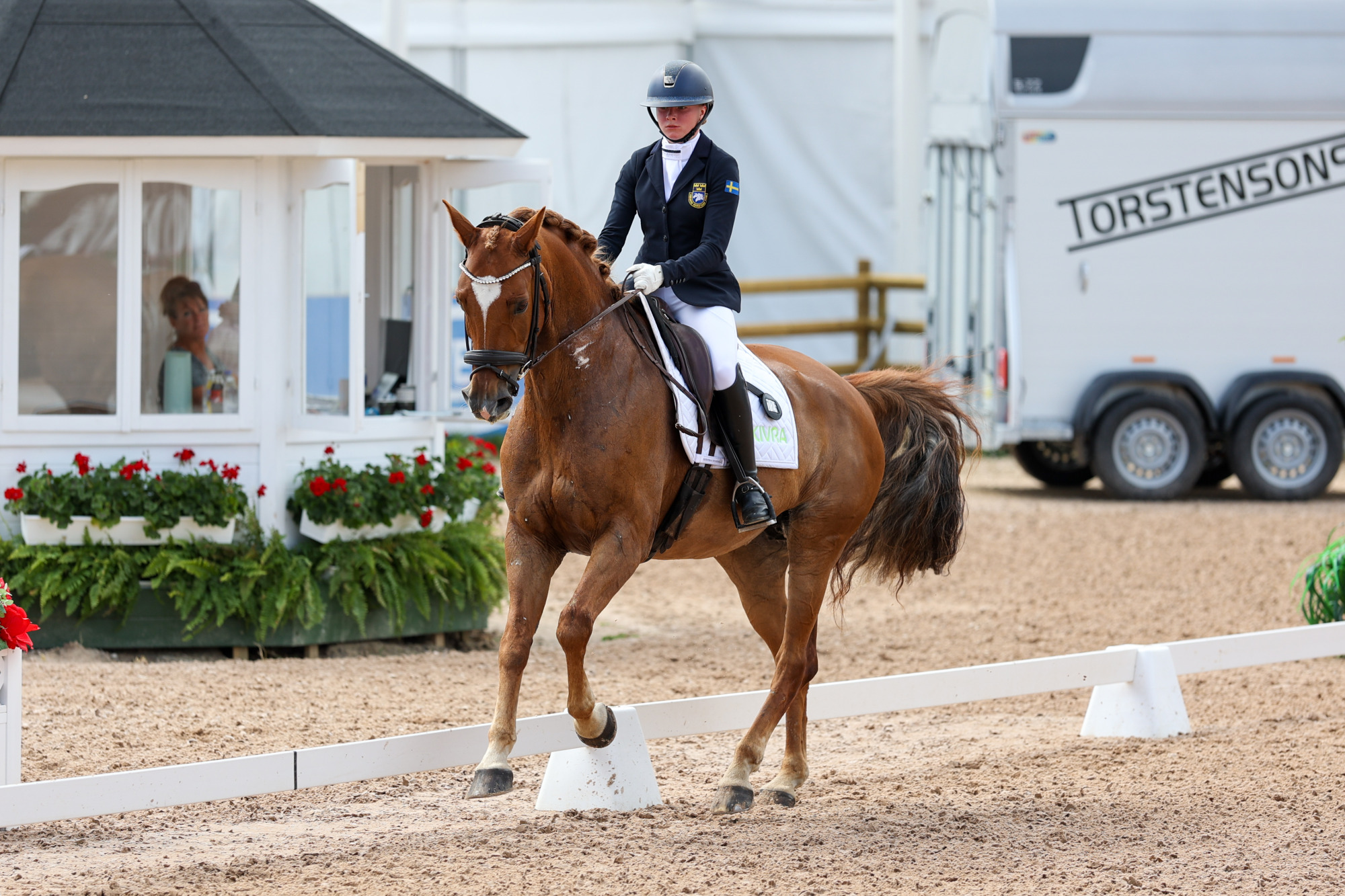 Erla Argus - Elverhöjs Olympia Fj-3858