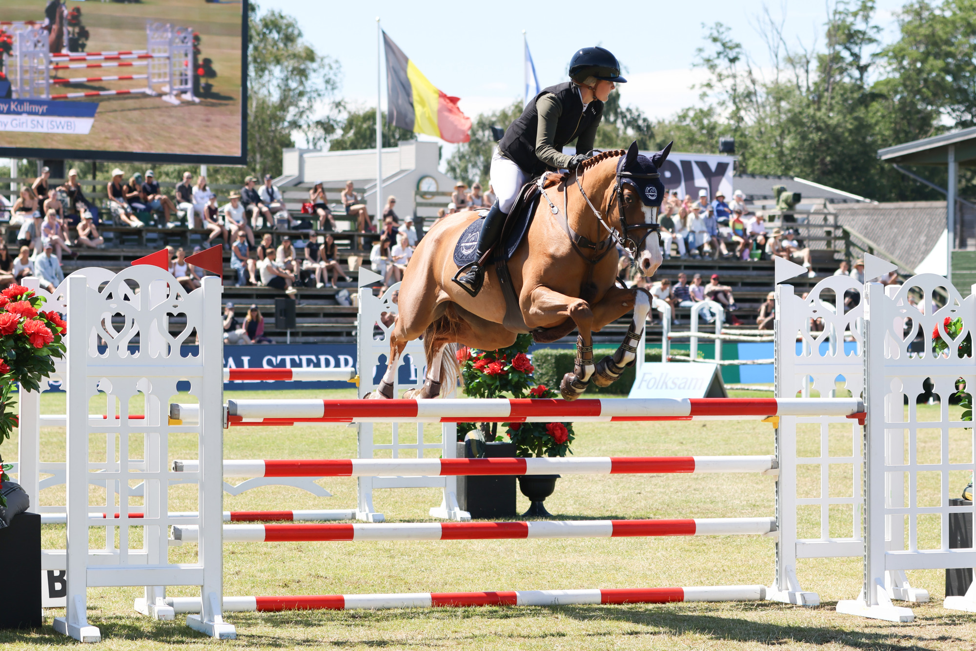 Falsterbo Horse Show 2026 Folksam Open 5-&aring;riga H&auml;star | Final
