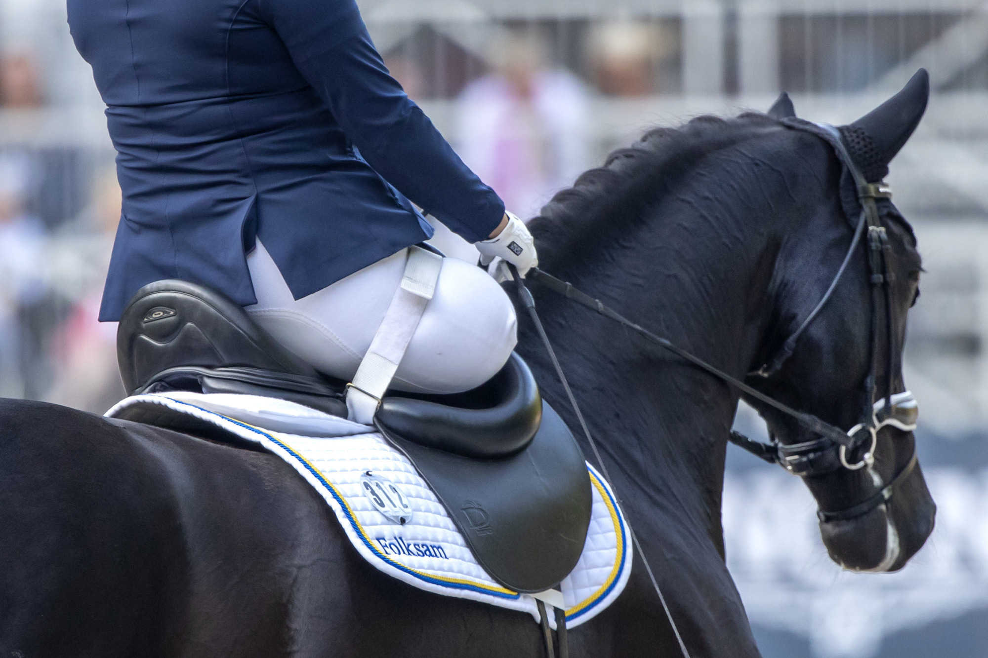 Equestrian Sport