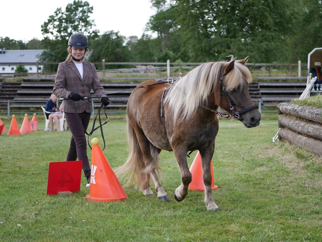 Foto Linnea Ornstein 2