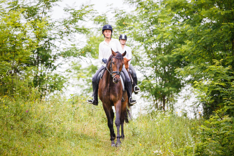 Proprioception – hästens kroppsuppfattning