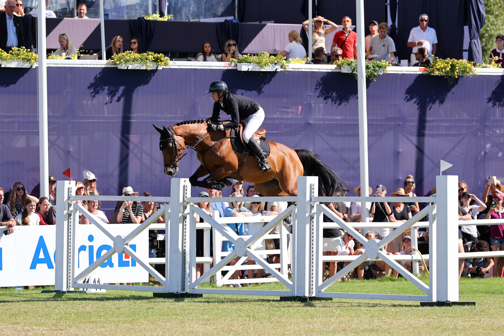 Falsterbo Horse Show 2026 Klass S07 - Csio5* Falsterbo Derby (228(i)b) 1.50m