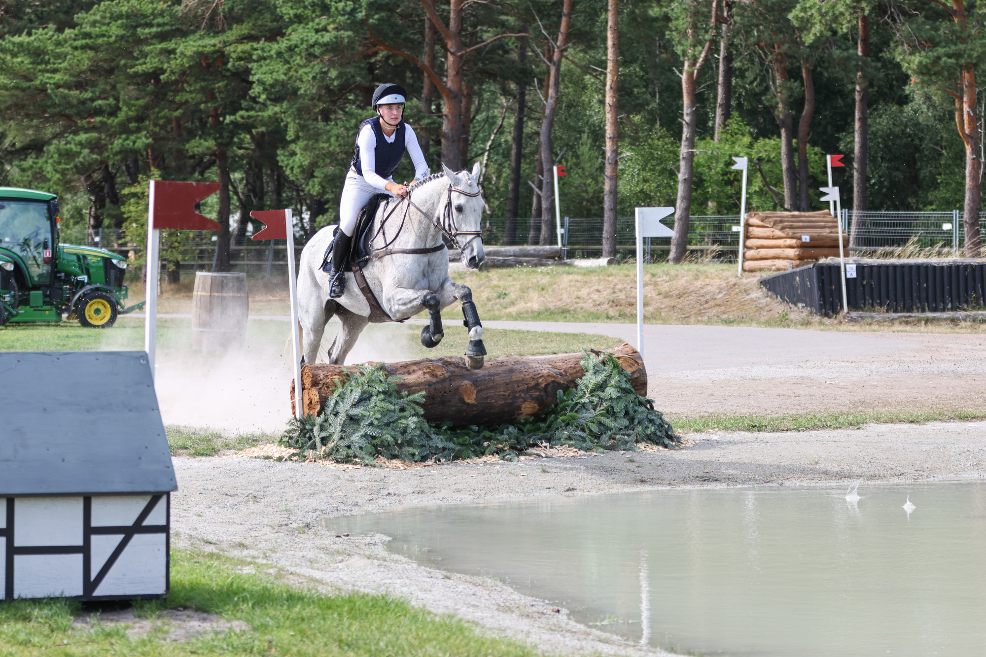Nelli Pekkarinen - Avoca Alchemist La-0864