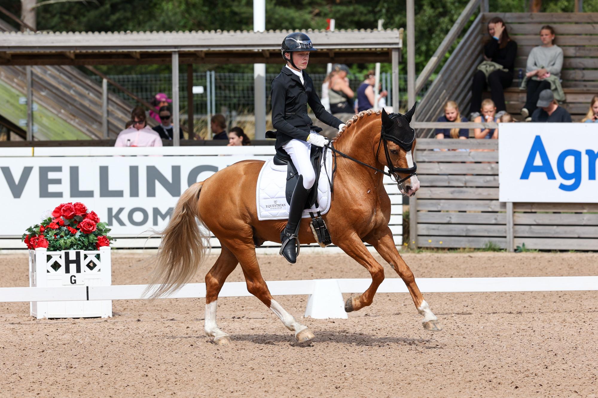 Oliver Brink - Herzzauber D Fj-9367