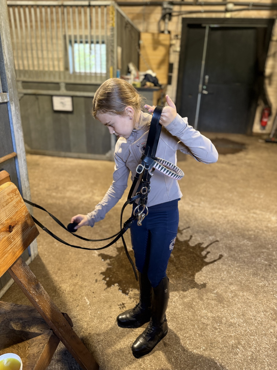 Klasserna på ponnyutställningen – hur går det egentligen till?