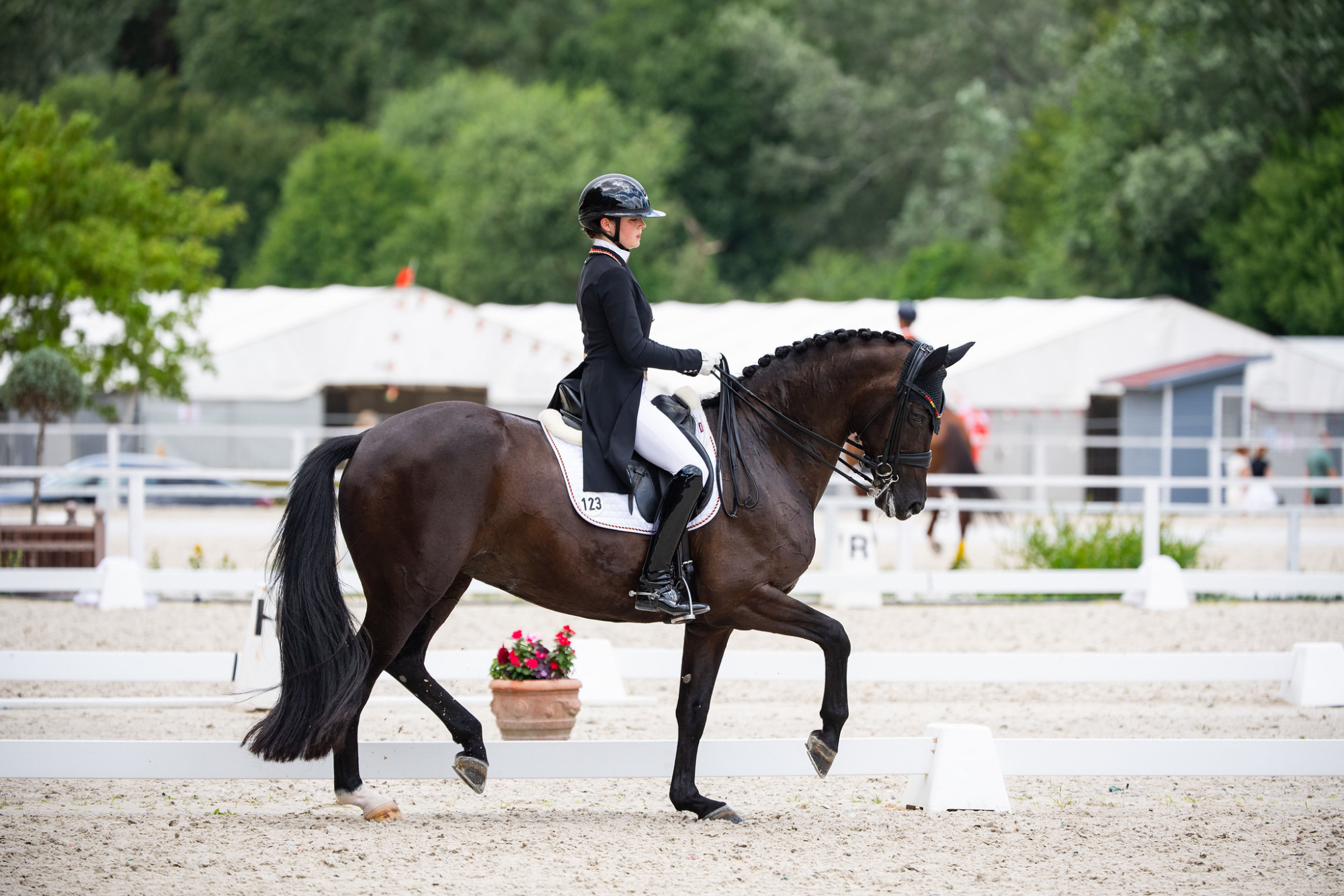 Rose_oatley_aliveandkicking