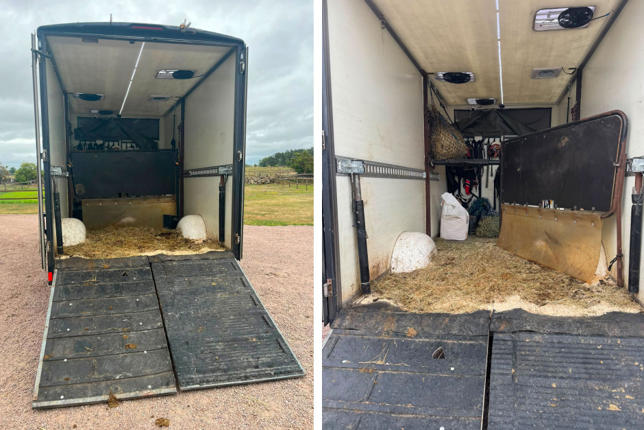 Hon öppnade transporten och vägrade lasta hästen: ”Hade aldrig överlevt”