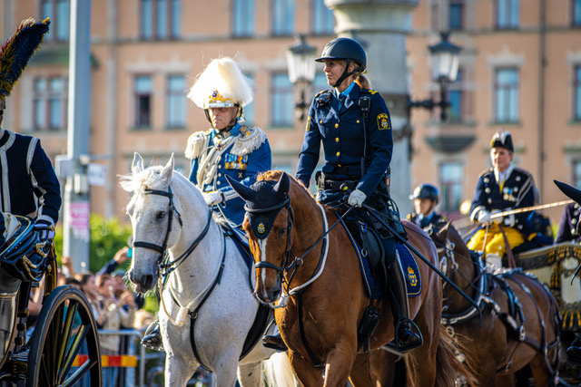 Sälja hästen till polisen? Här finns chansen