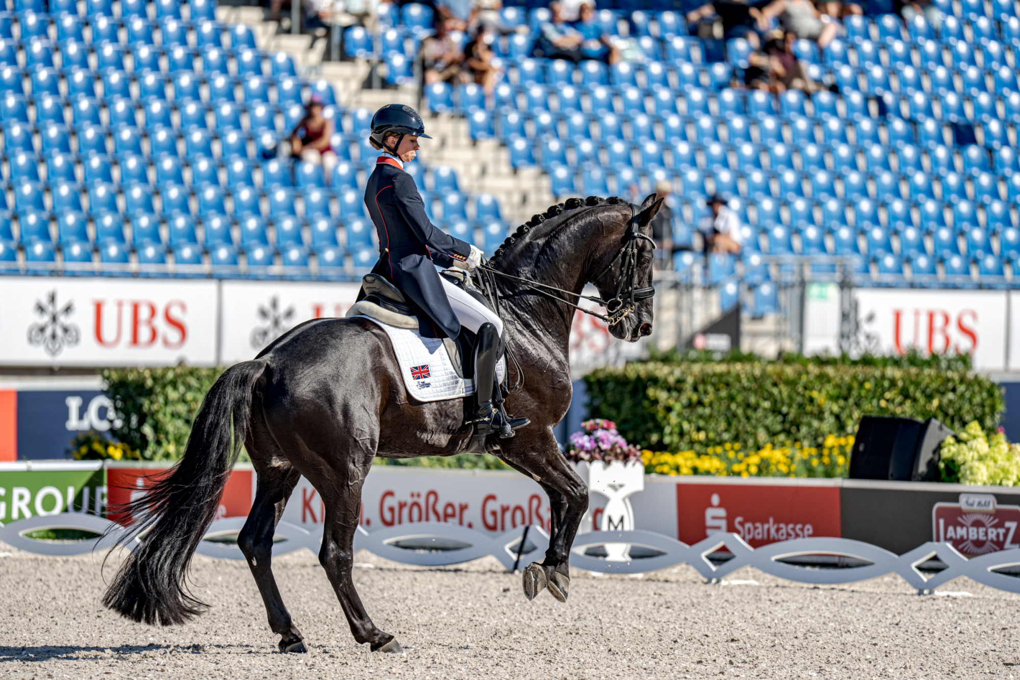 Charlotte Fry (gbr) Glamourdale