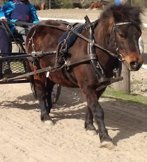 Ettan Vagn