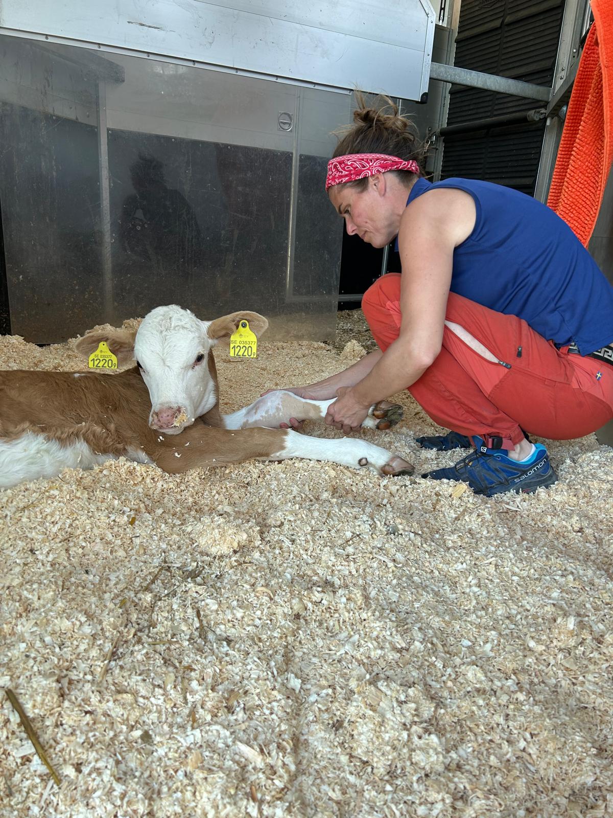 Ferdinand_veterinar_1001
