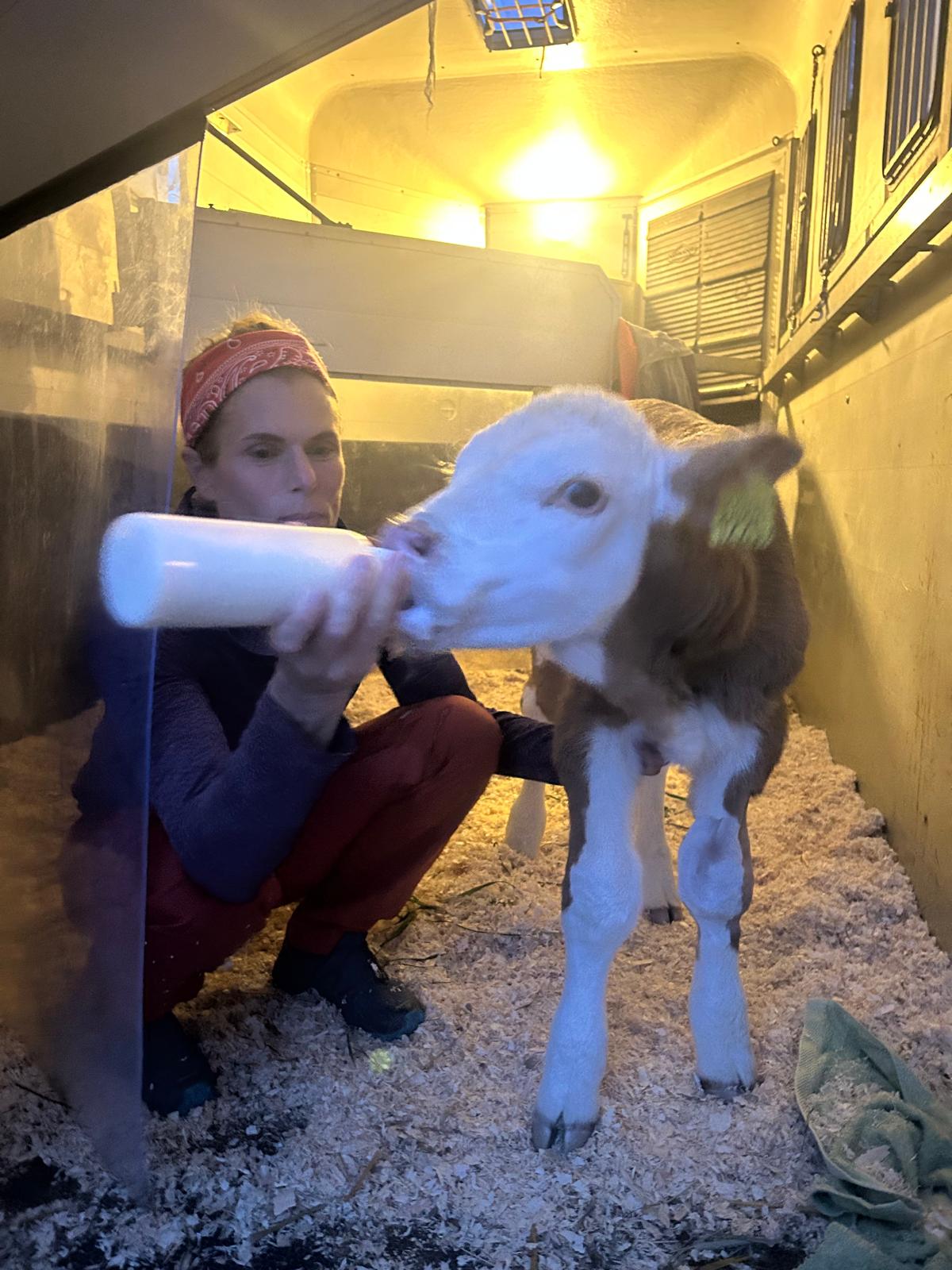 Ferdinand_veterinar_1003