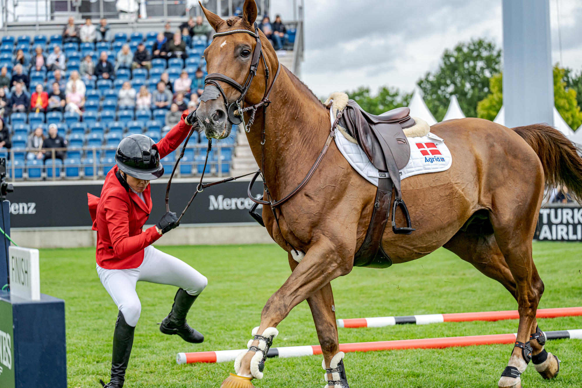 Zascha Nygaard (den) Com'on Drako De Maugre