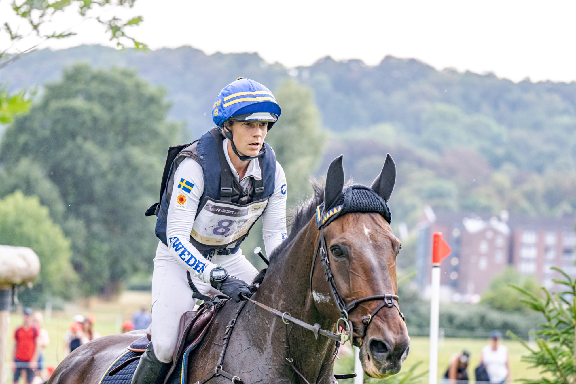 Frida Andersen (swe) Box Leo