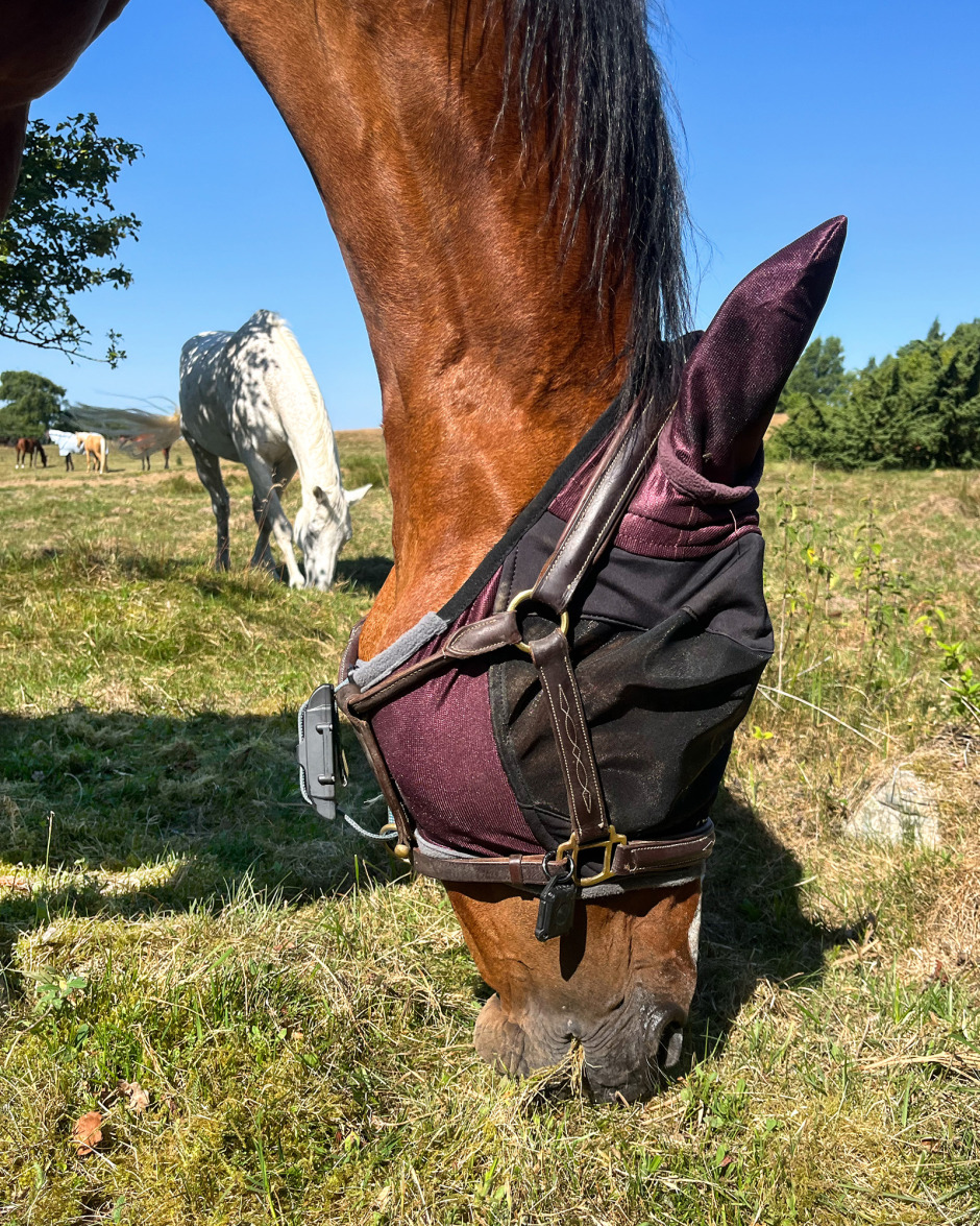 Enkelt att hålla koll på hästen med GPS i hagen