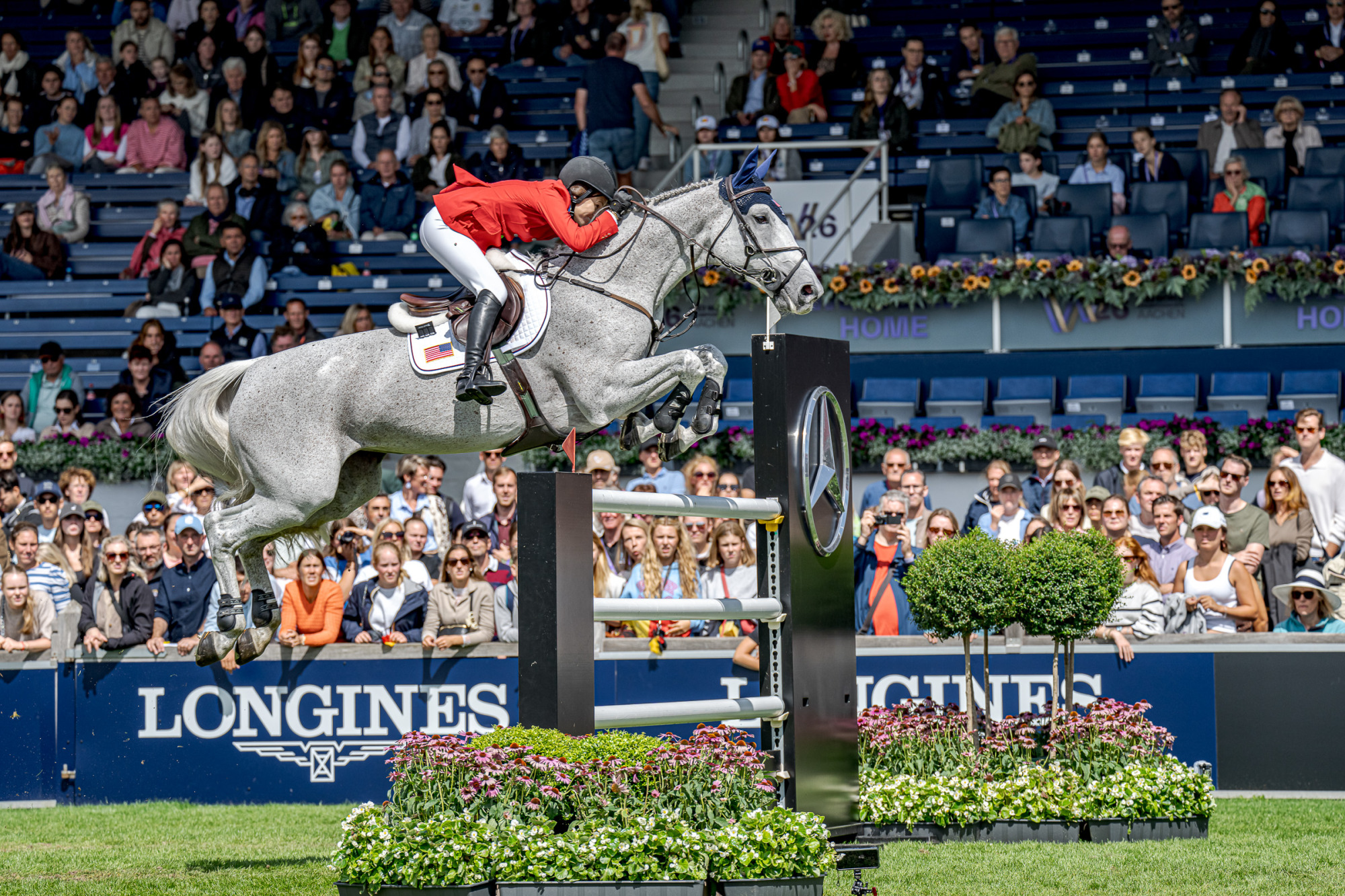 Katherine A. Dinan (usa) Out Of The Blue Scf