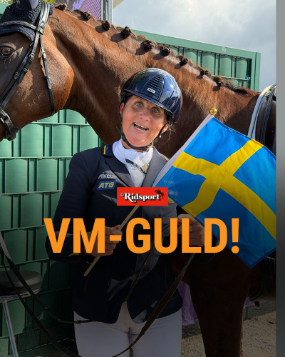 VM-GULD till Lena Malmström