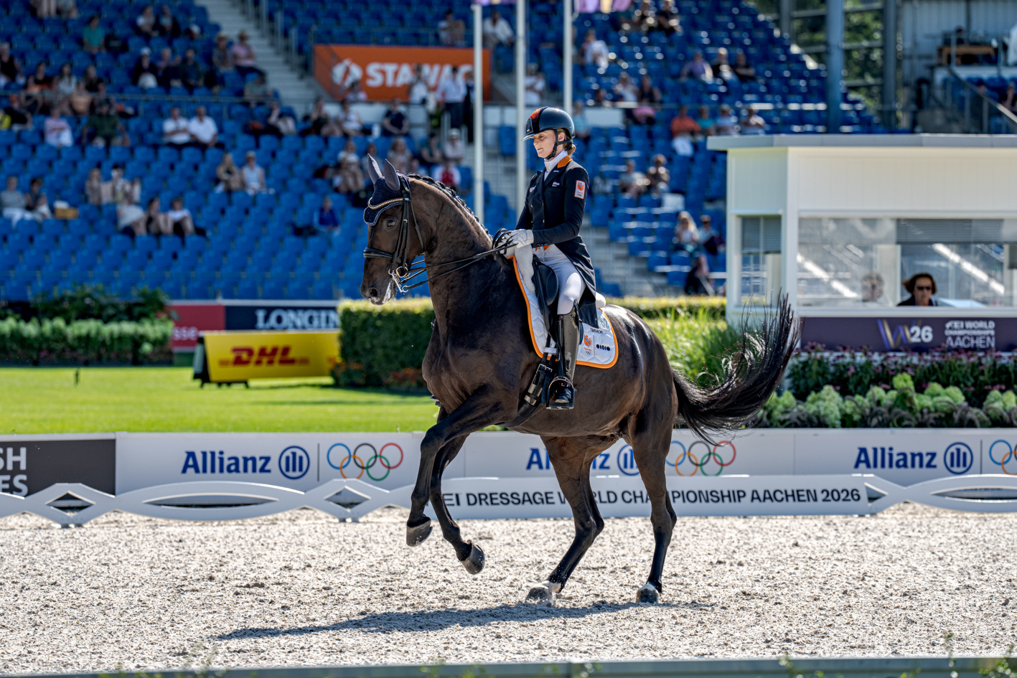 Marieke Van Der Putten (ned) Zantana Rs2 Old N.o.p.