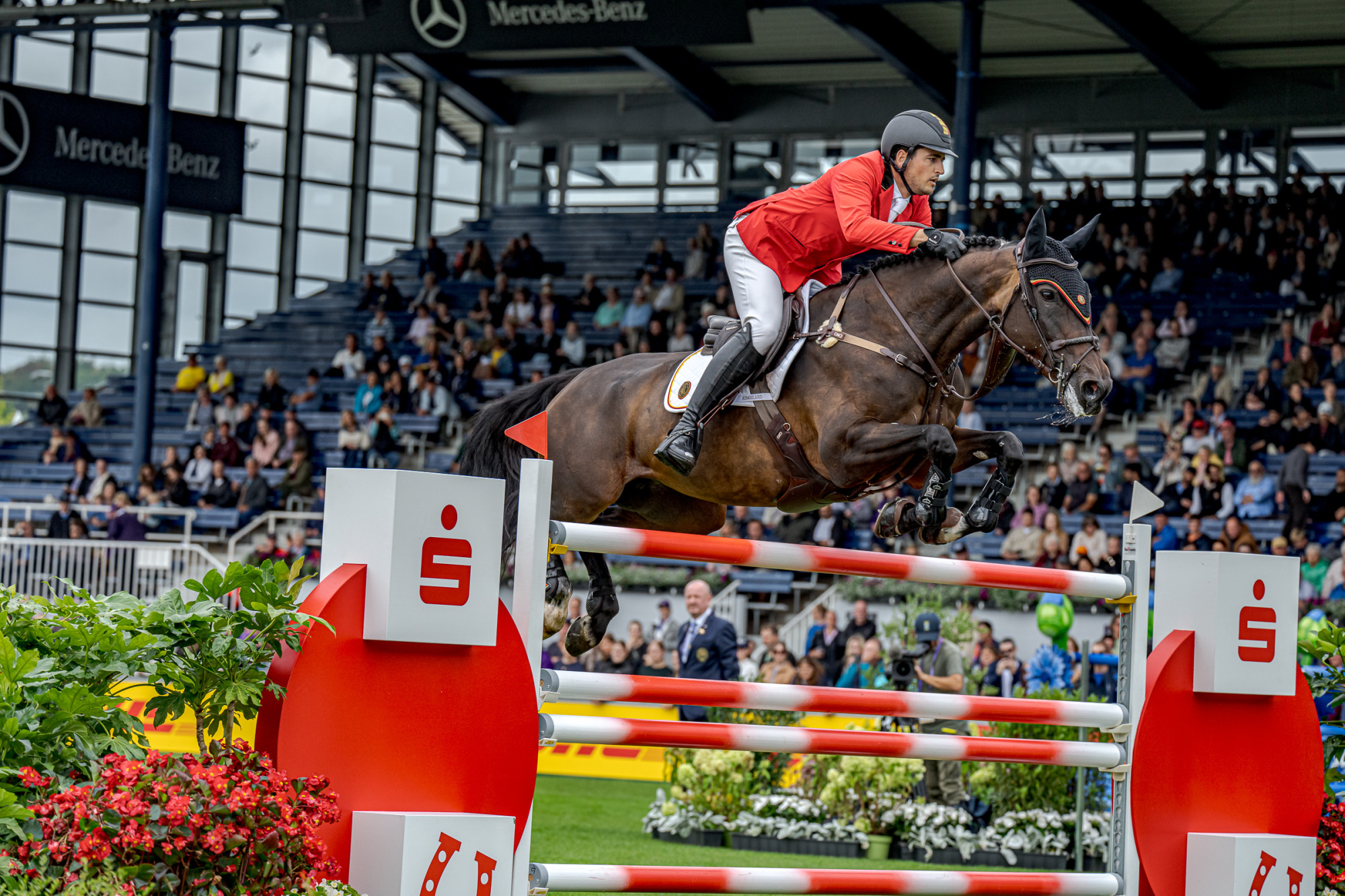 Nicola Philippaerts (bel) Katanga V//h Dingeshof