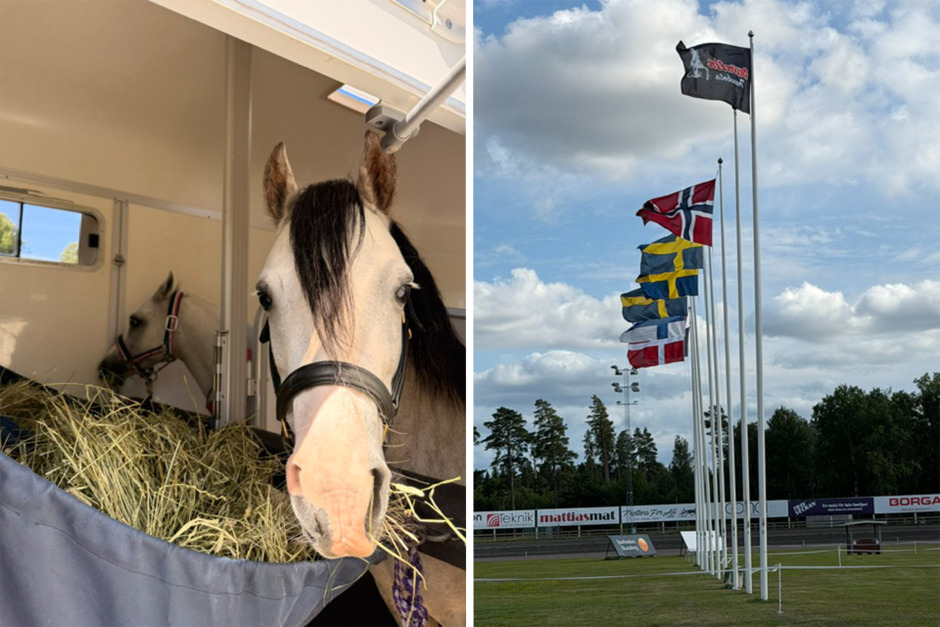 Så gick det på helgens utställning