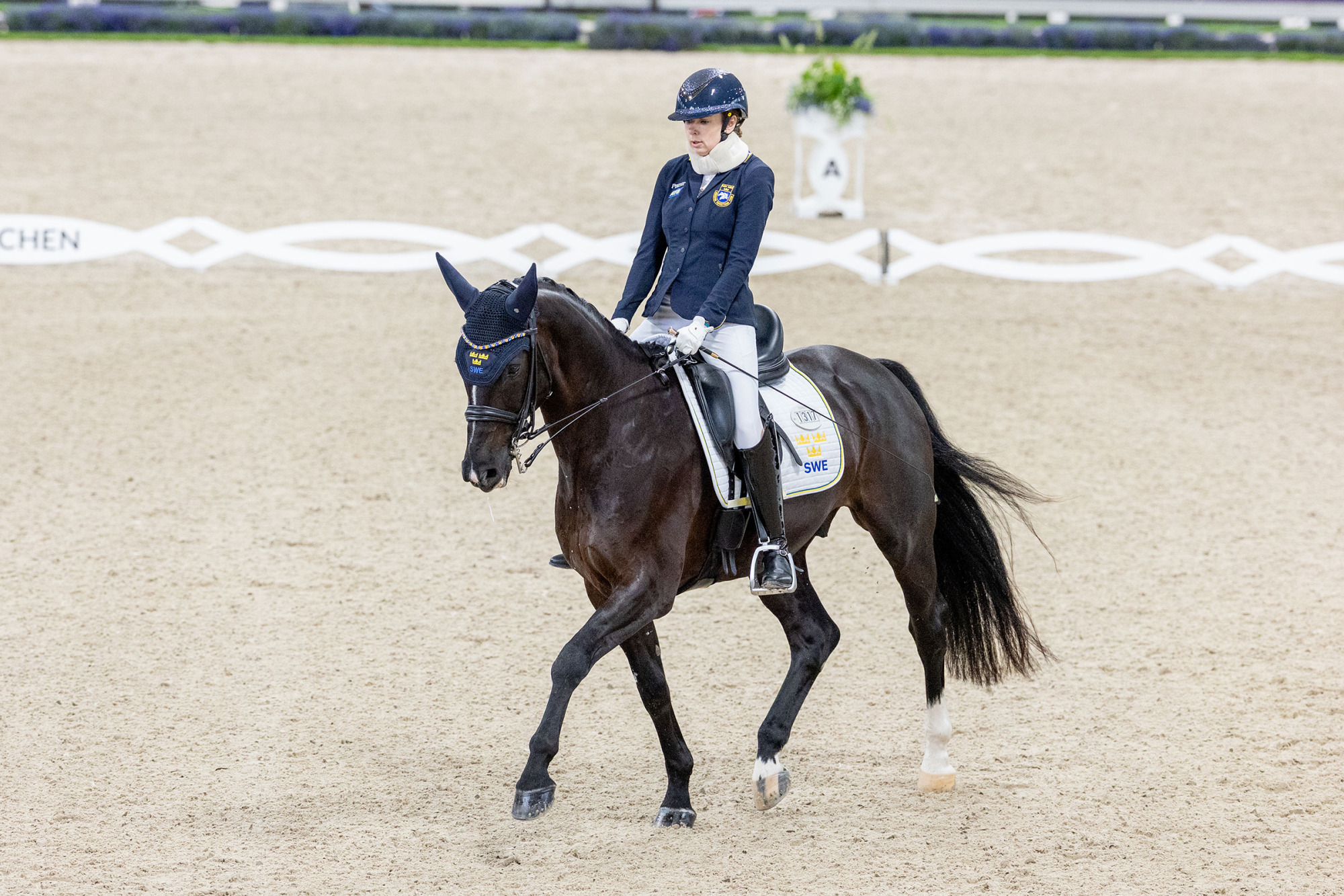 Renee-claesson-ribring-zapp-vs-aach26l68133