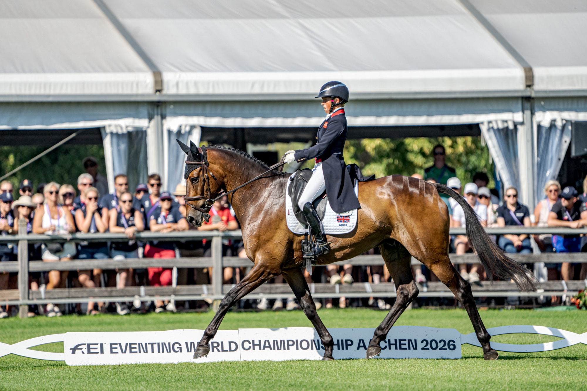 Rosalind Canter (gbr) Lordships Graffalo