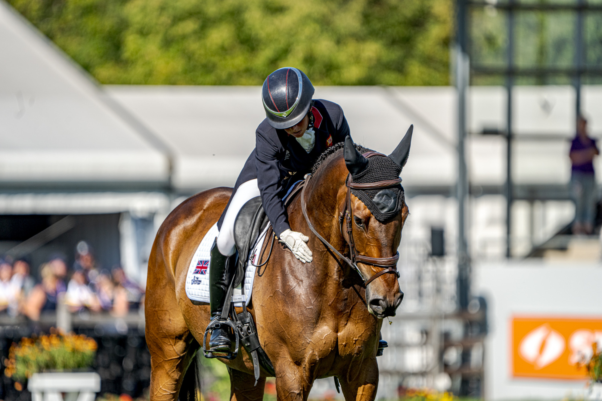 Rosalind Canter (gbr) Lordships Graffalo