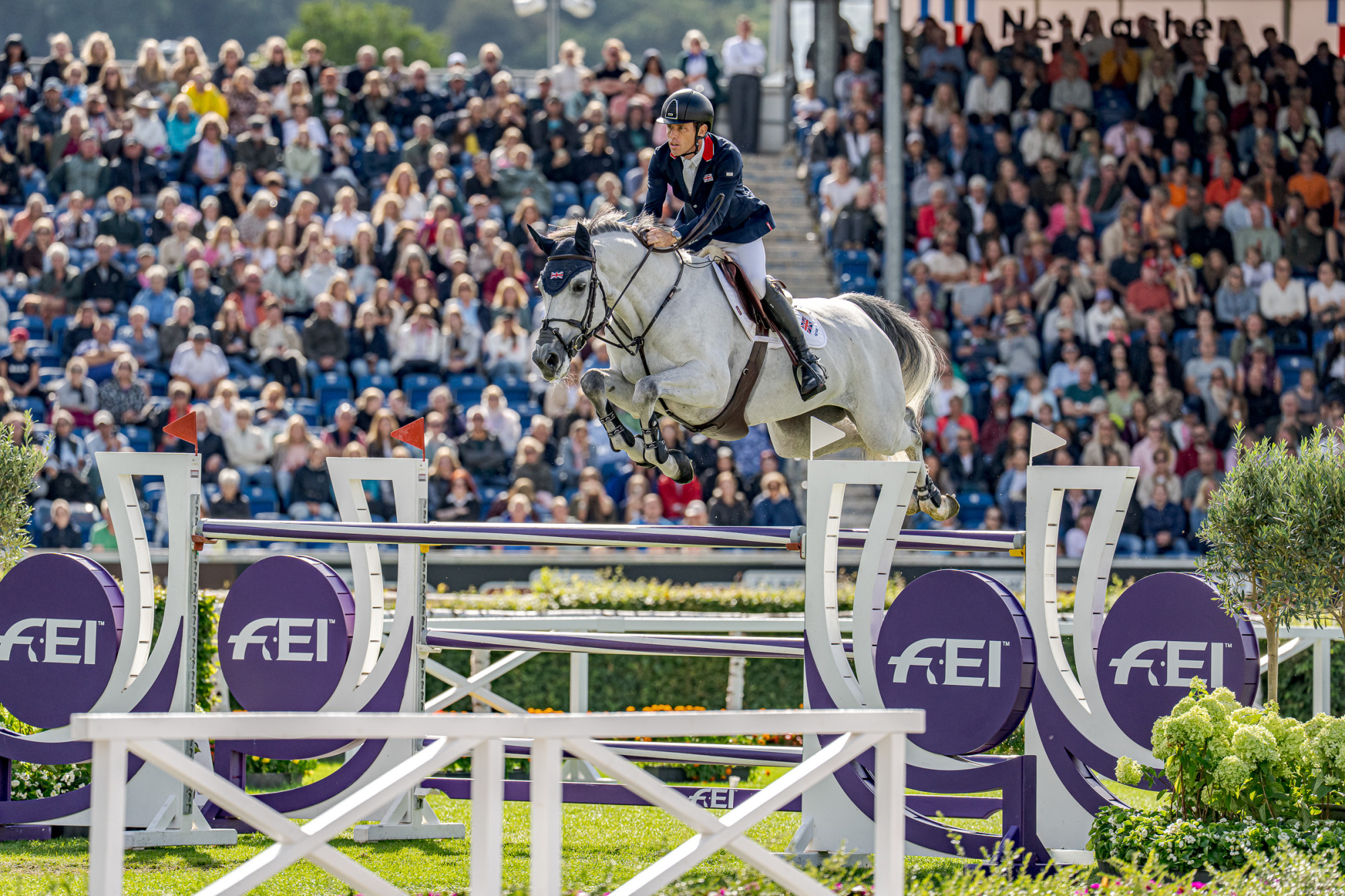 Scott Brash (gbr) Hello Mango