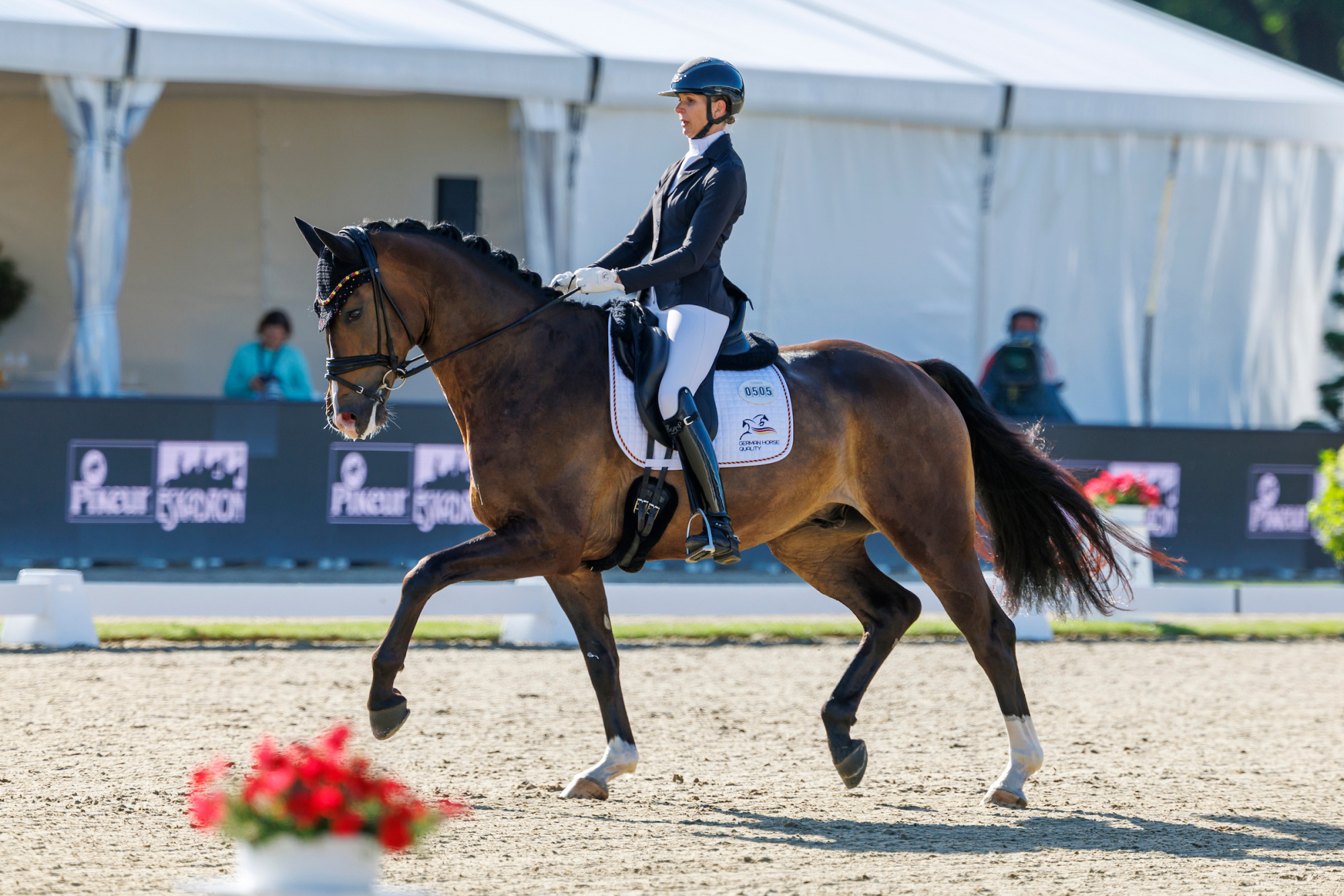 Verden - World Breeding Dressage Championsships For Young Horses 2026