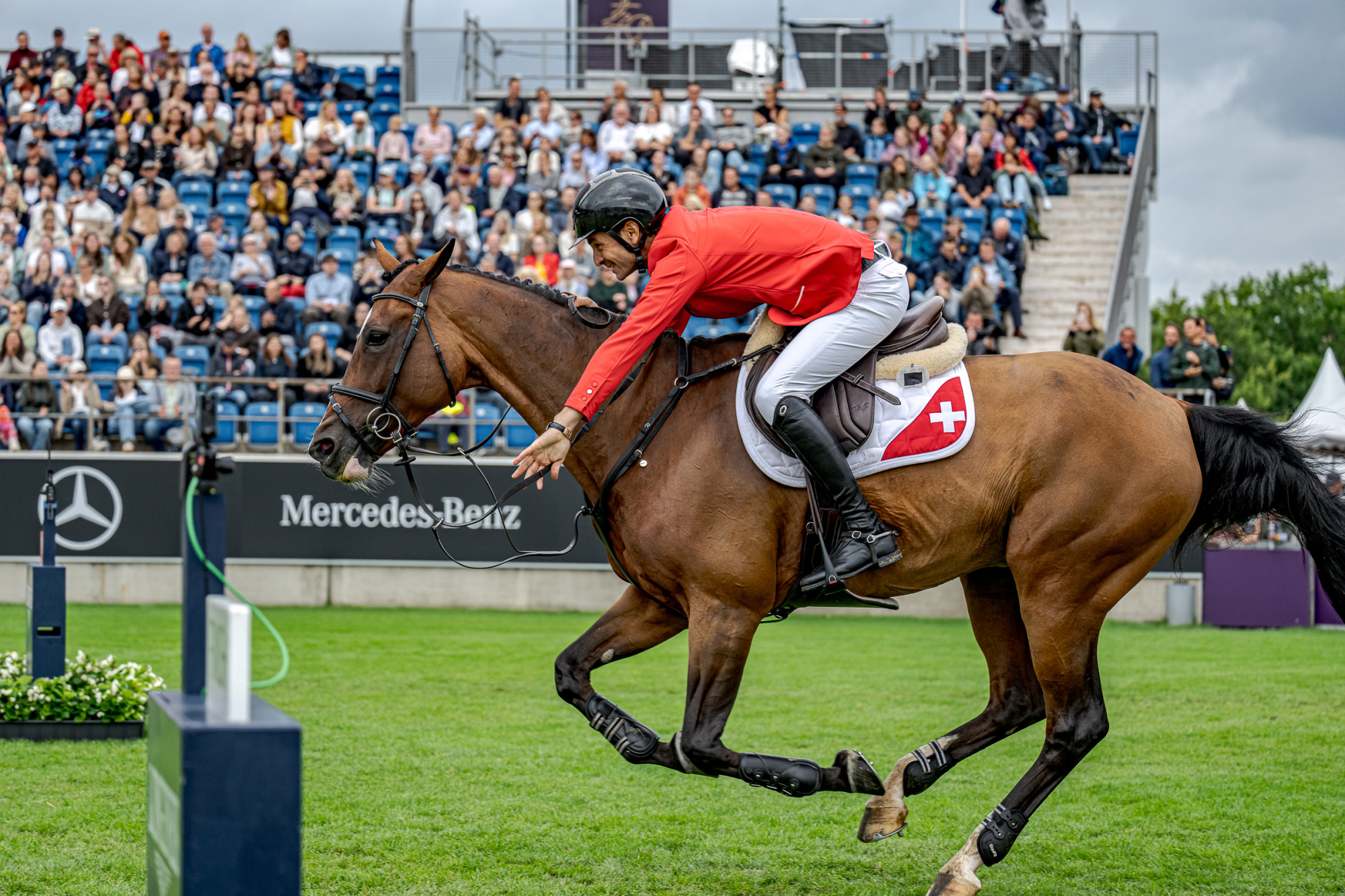 Steve Guerdat (sui) Dynamix De Belheme