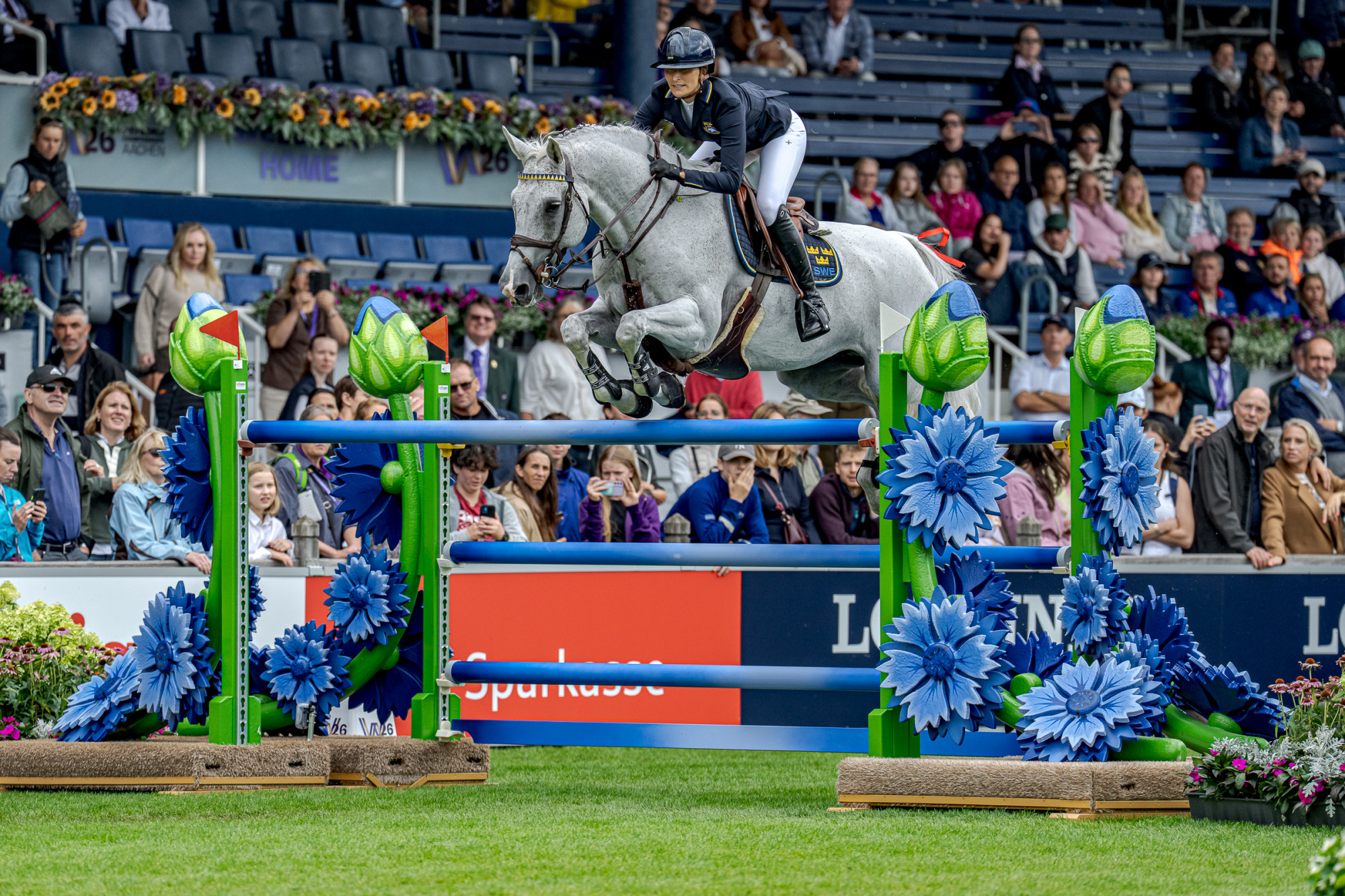 Wilma Mcmahon (swe) Cicci Bun