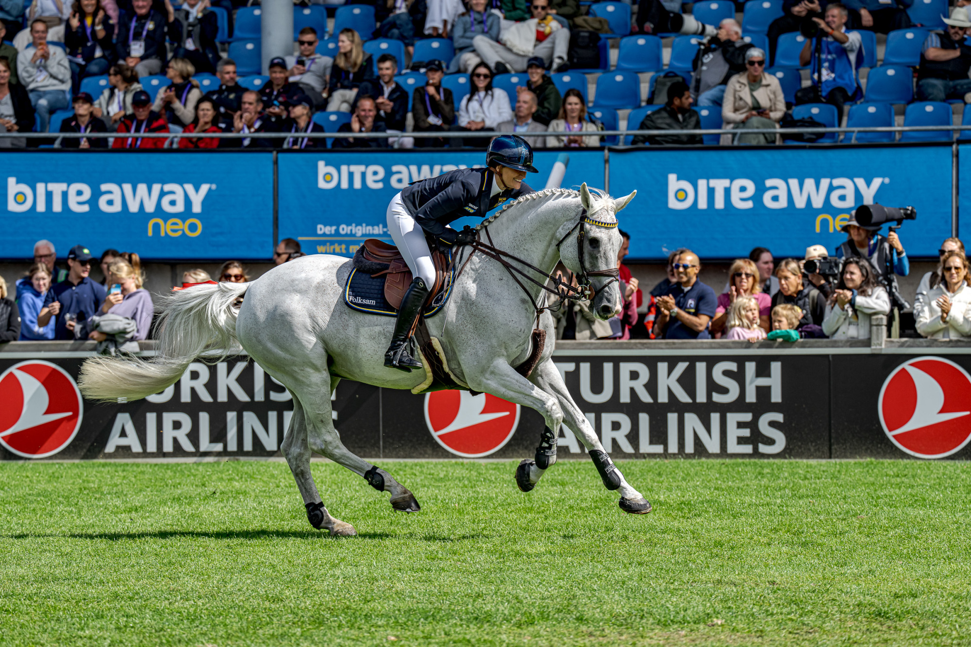 Wilma Mcmahon (swe) Cicci Bun