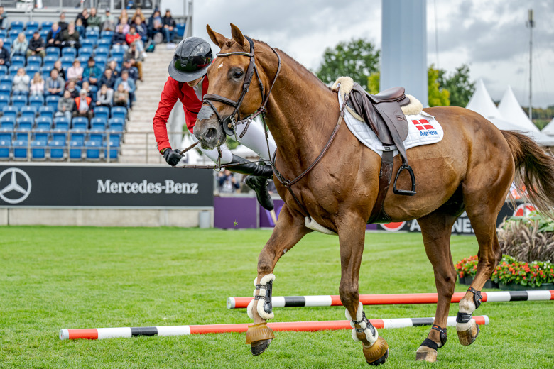 Zascha Nygaard (den) Com'on Drako De Maugre