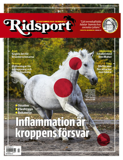 Tidningen ridsport #12