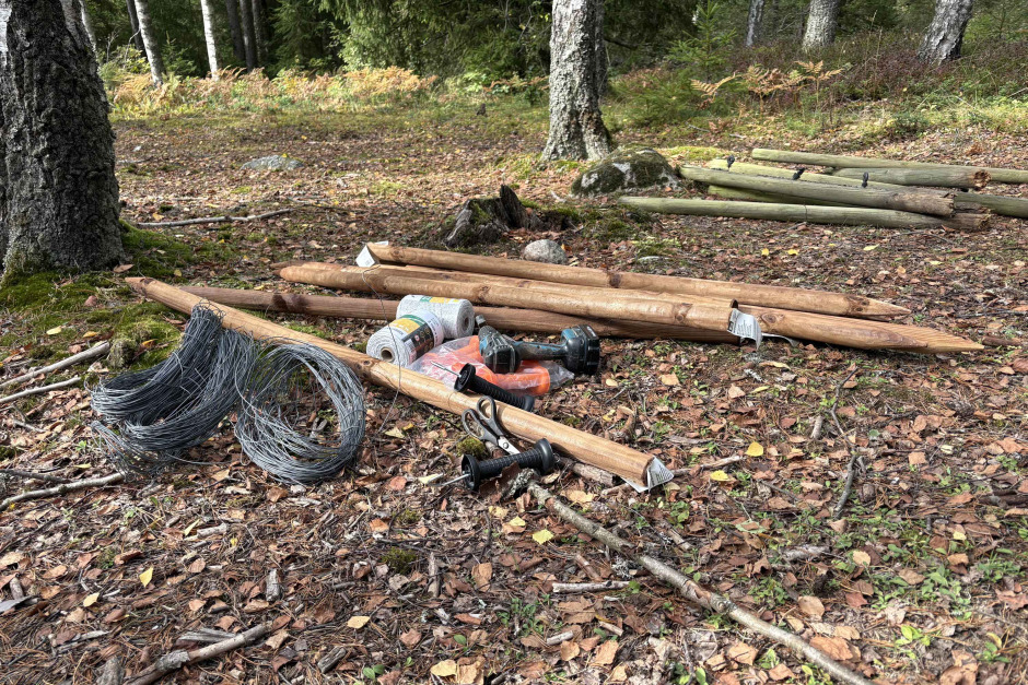 Ponnypappan: När skogens konung trasslar till det