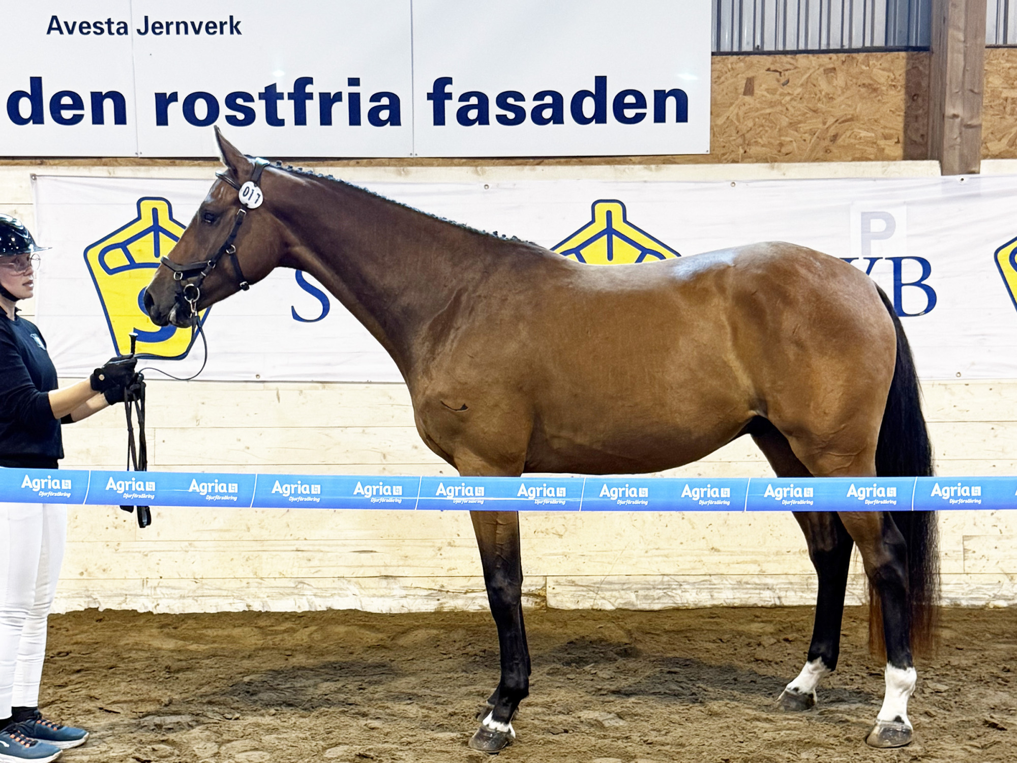 Gotthard Everlöv Foto Klara Johansson