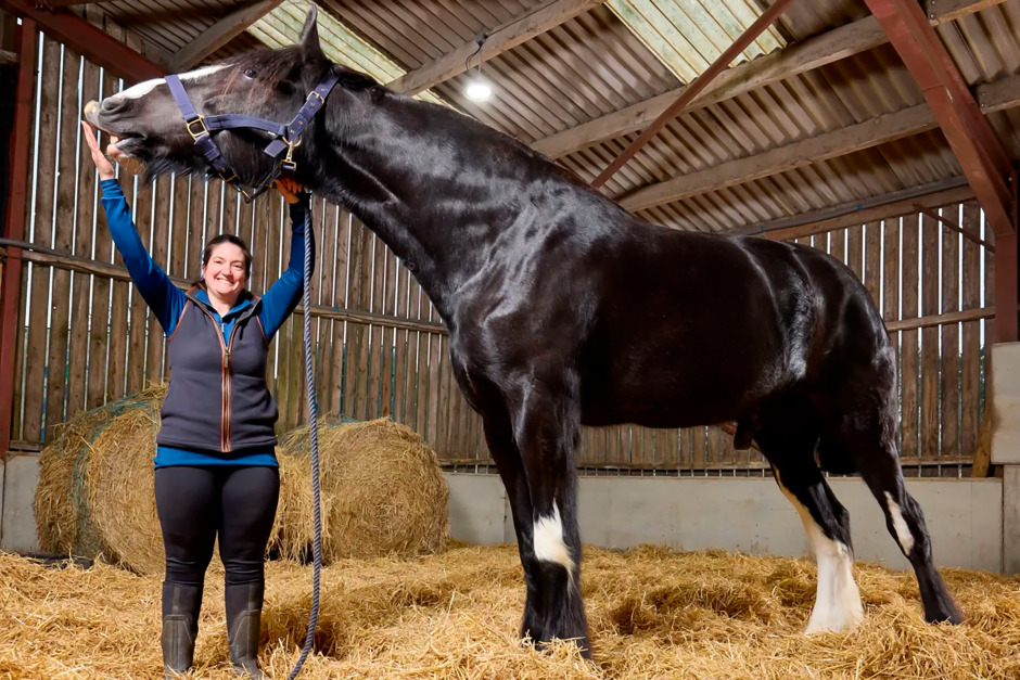 Nytt världsrekord: Hugo är högst med 199 centimeter – och växer fortfarande